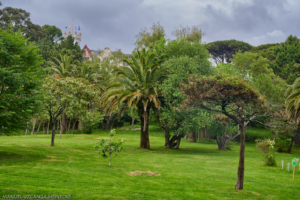 Parque de la Magdalena, Santander