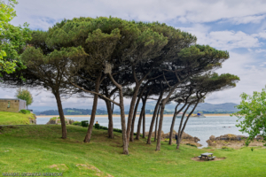 Parque de la Magdalena, Santander
