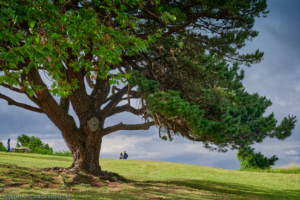 Parque de la Magdalena, Santander