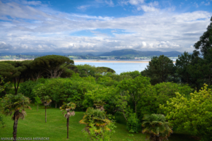 Parque de la Magdalena, Santander