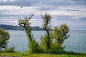 Fondeadero del Sardinero, Santander